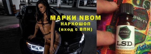 прущие грибы Алексеевка