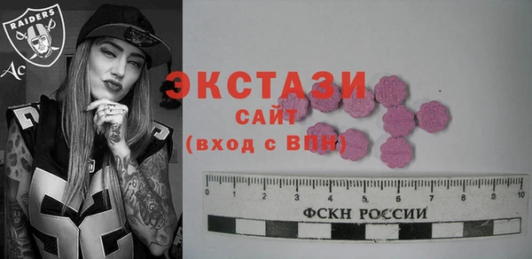 СК Снежногорск