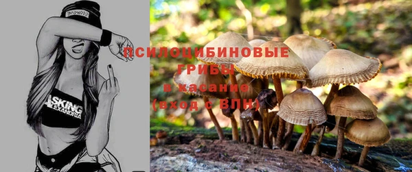 сатива Алексин