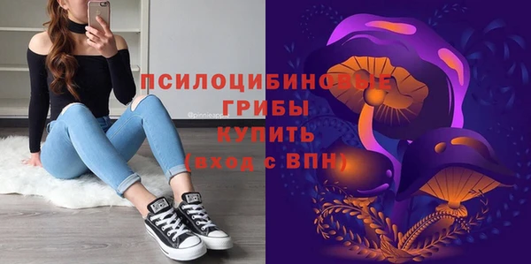 прущие грибы Алексеевка