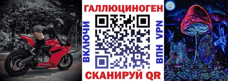 Псилоцибиновые грибы Psilocybe  Алушта 