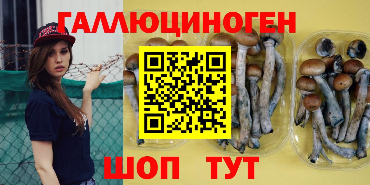 Галлюциногенные грибы MAGIC MUSHROOMS  Вход с VPN  Алушта 